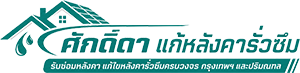 ศักดิ์ดาหลังคารั่วซึม